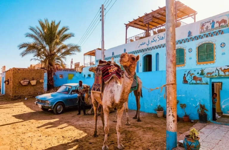 Nubian Village Aswan: A Complete Guide to Gharb Soheil’s Colorful Culture